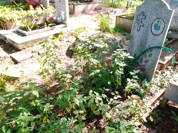 Кузнецова Клавдия Дмитриевна