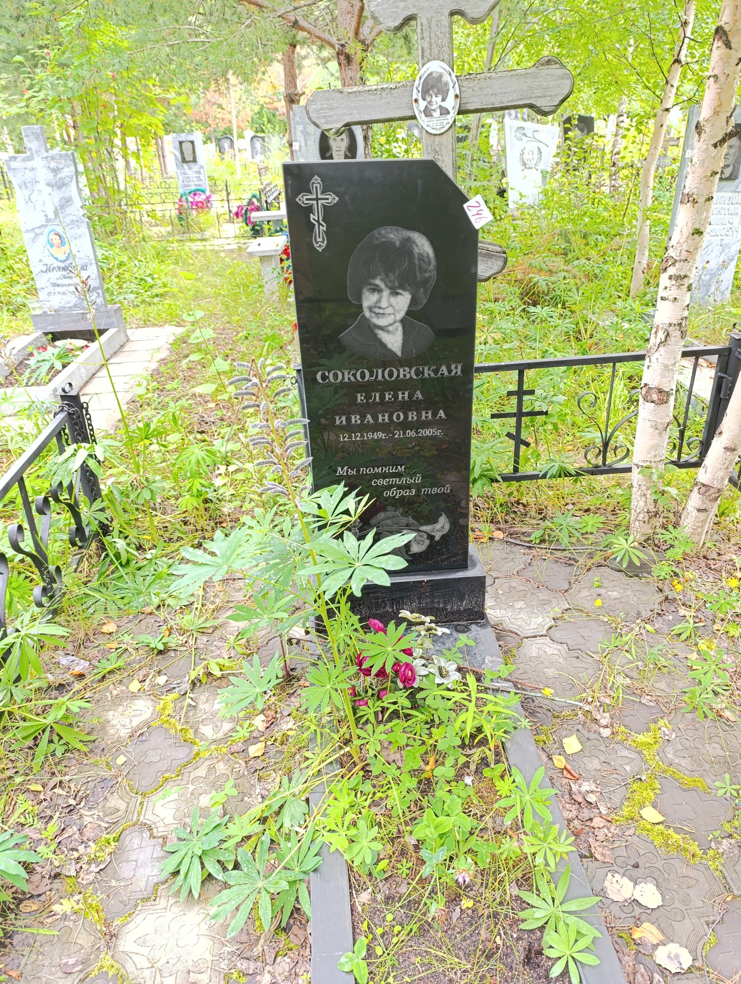 Соколовская Елена Ивановна