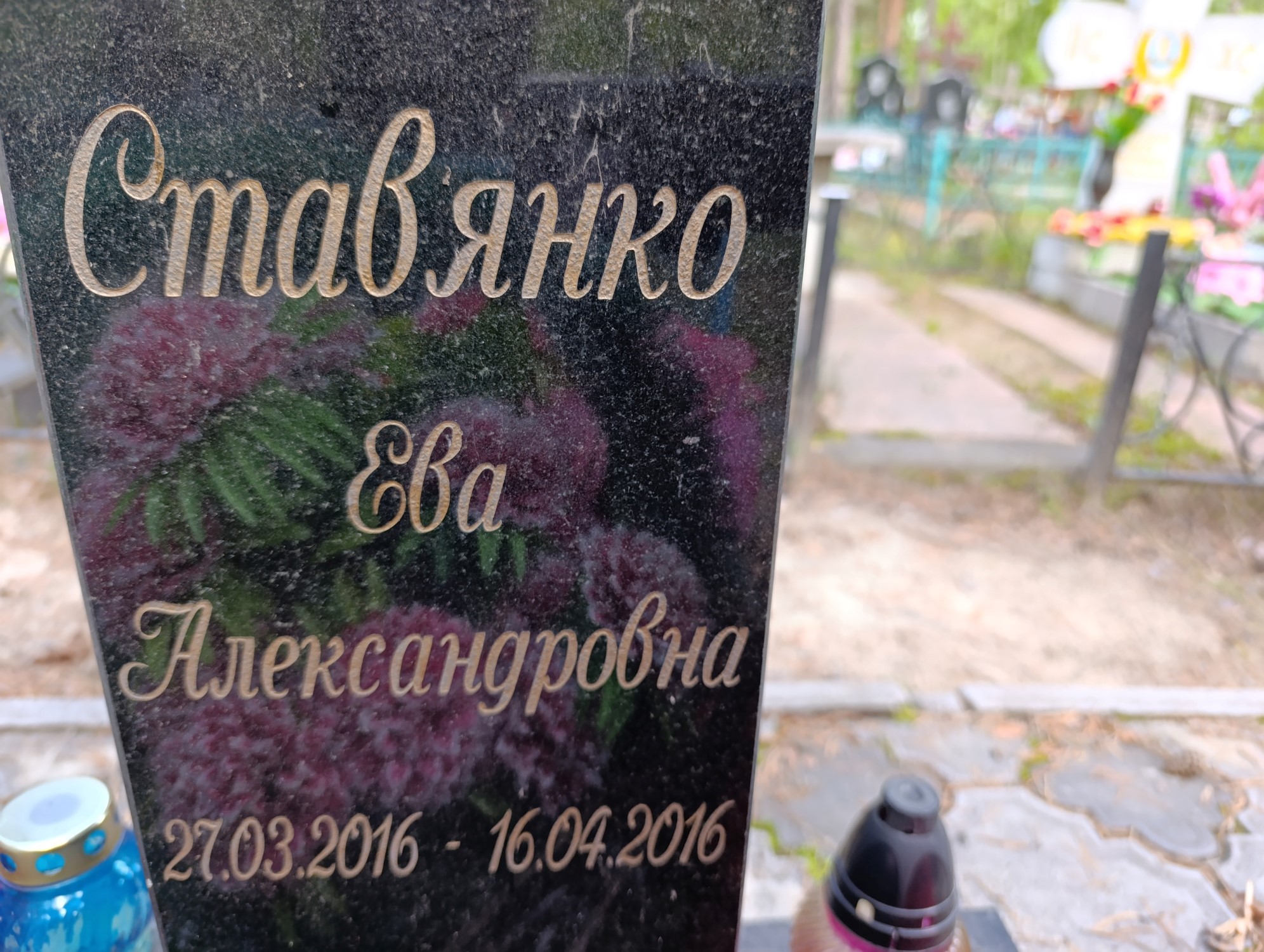 Ставянко Ева Александровна