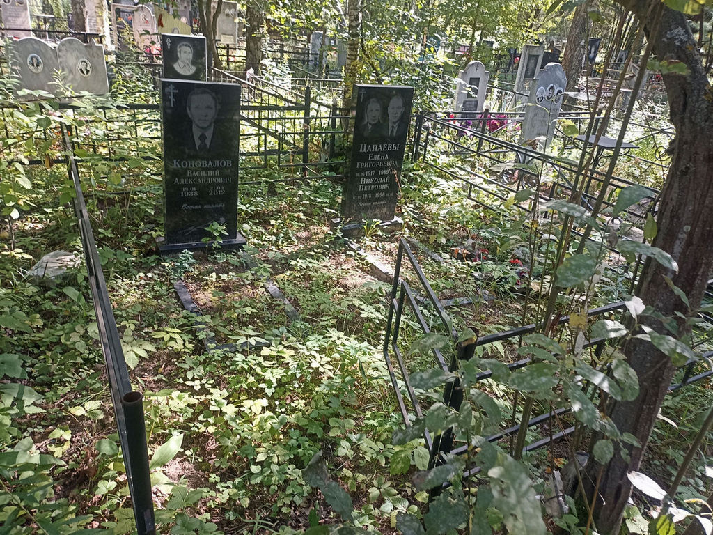 Цапаев Николай Петрович