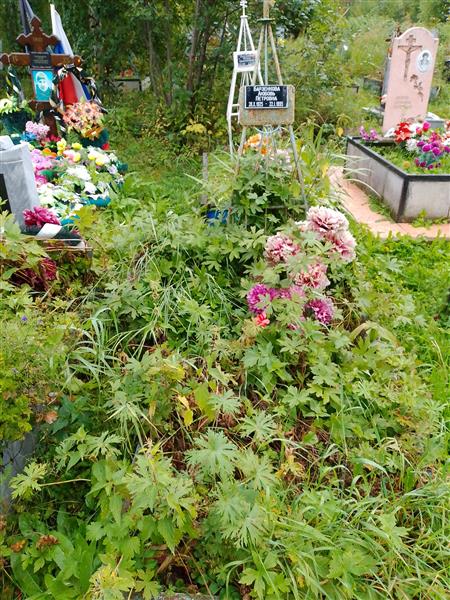 Барзенкова Любовь Петровна