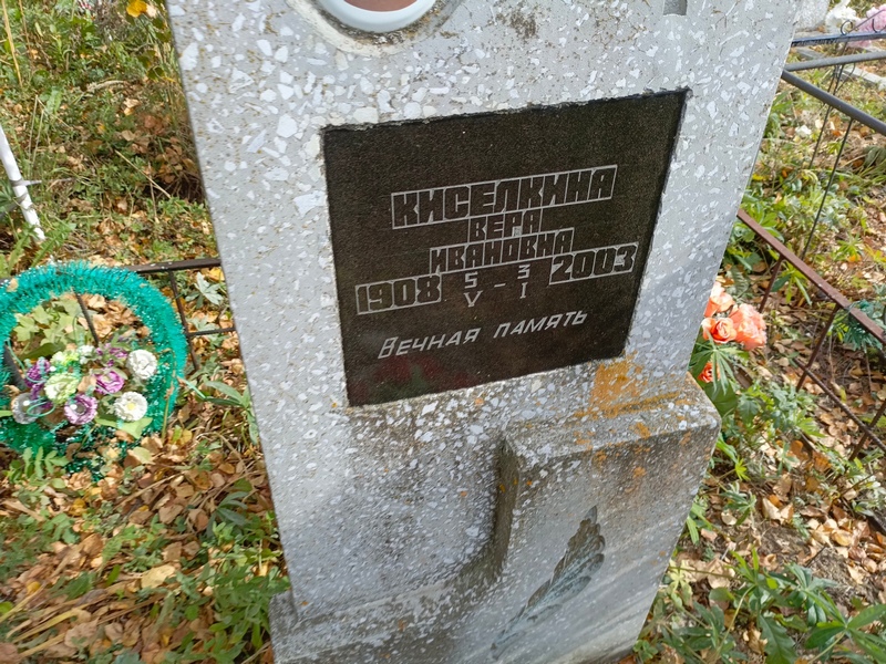 Киселкина