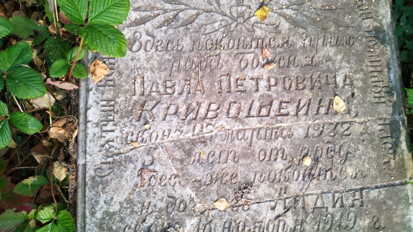 Кривошеина Лидия Павлова