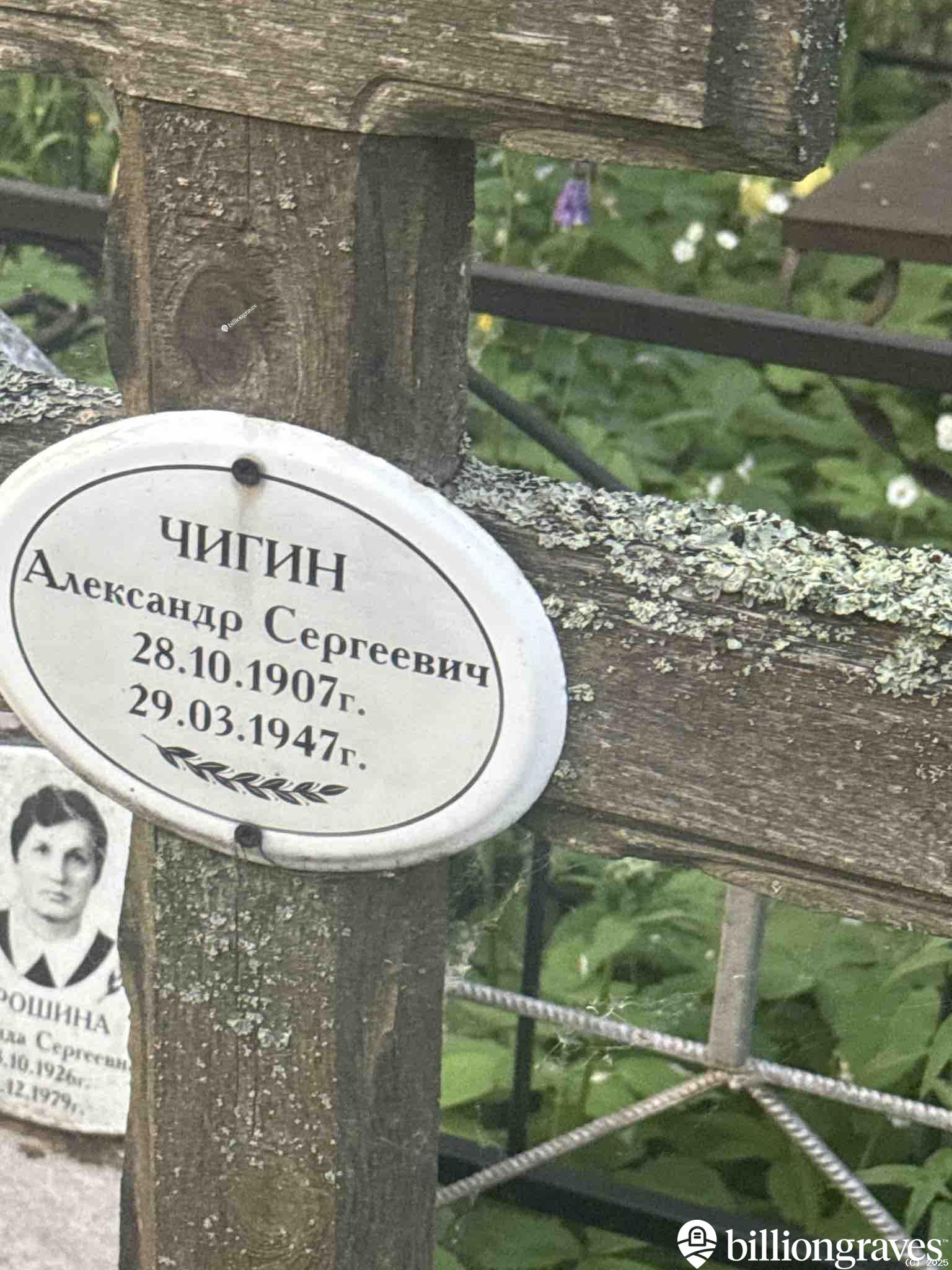 Чигин Александр Сергеевич