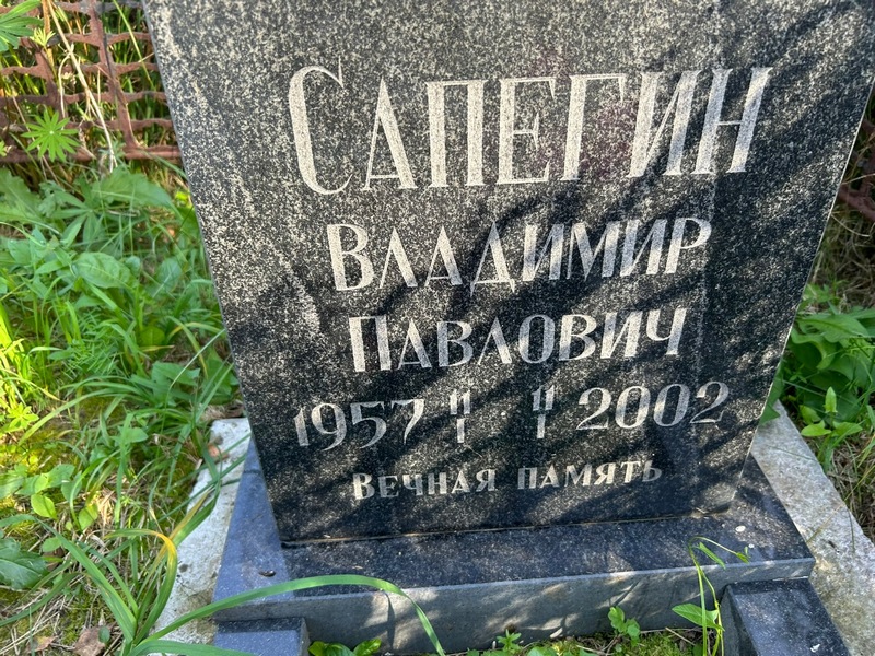 Сапегин