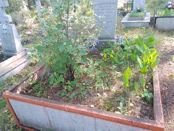 Ждановских Фаина Николаевна