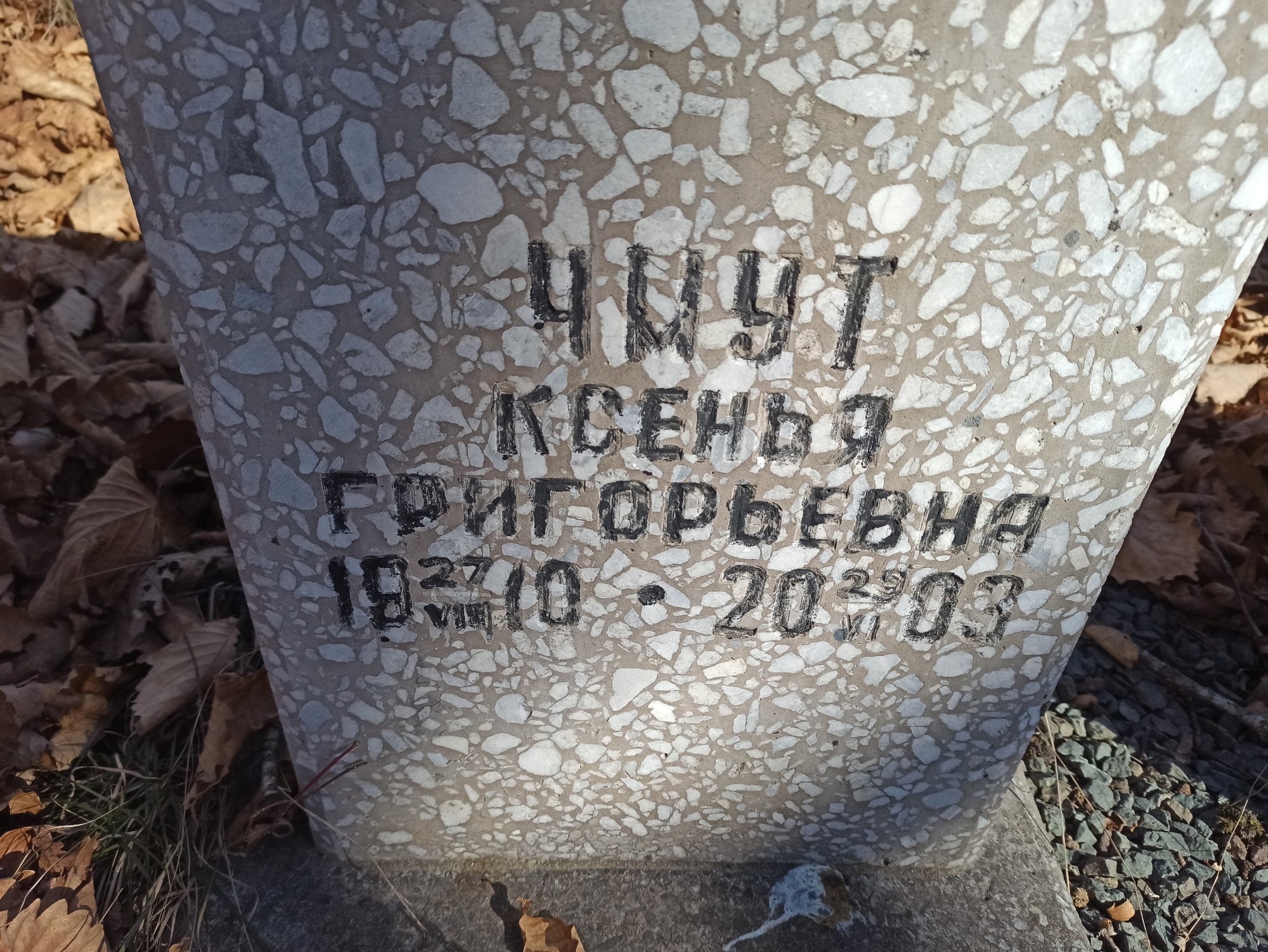 Чмут Ксенья Григорьевна