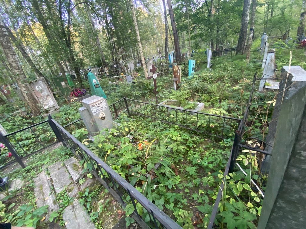 Будникова Анна Алексеевна