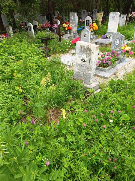 Боровинских Иосиф Михайлович