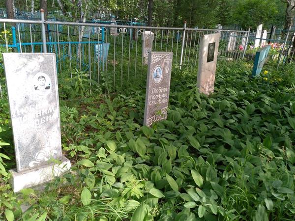 Левичев Владимир Григорьевич