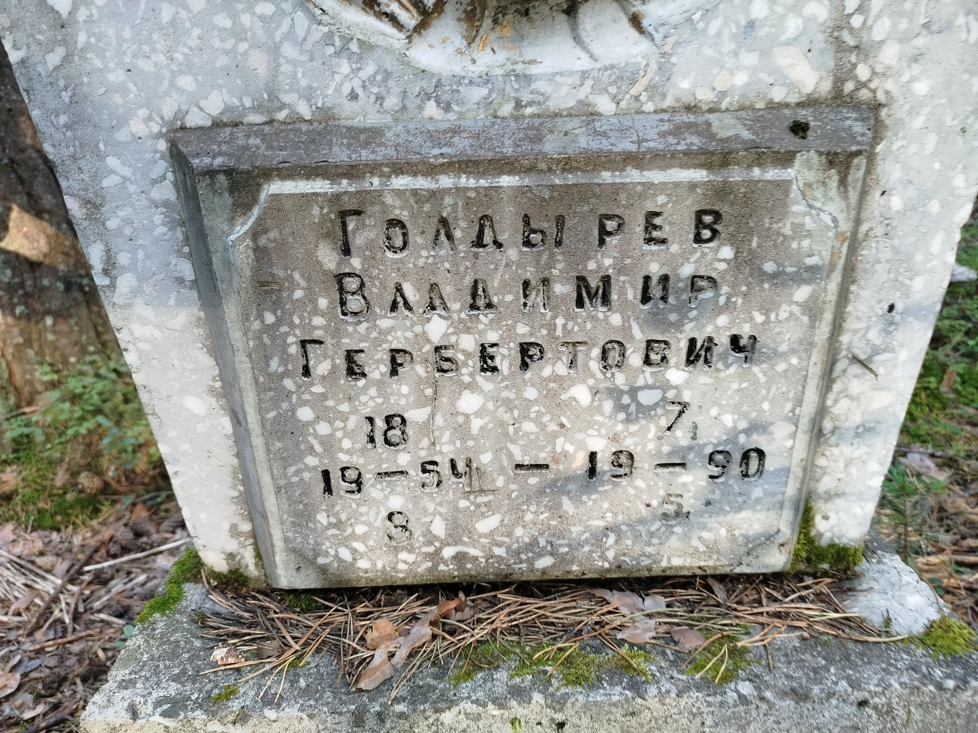 Голдырев Владимир Гербертович