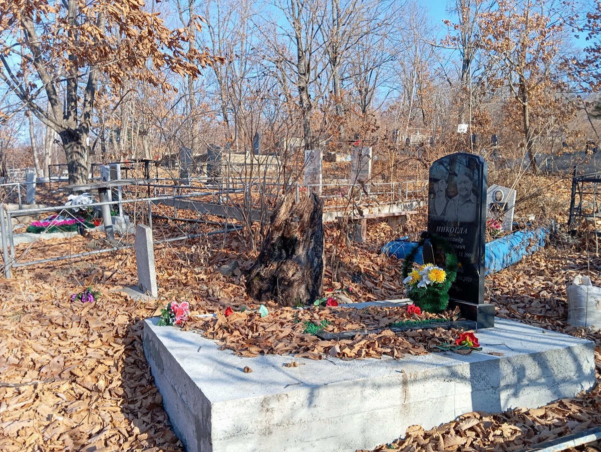 Никогда Ольга Васильевна