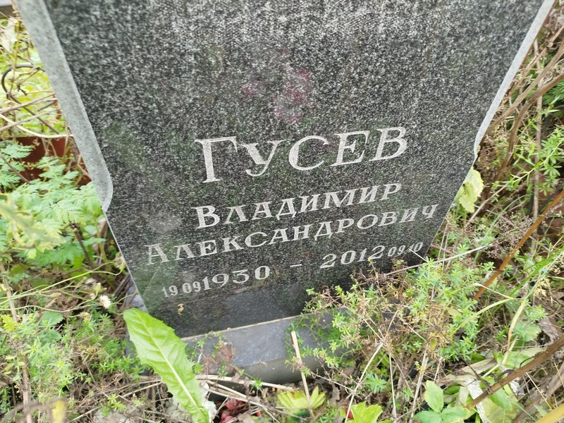 Гусев