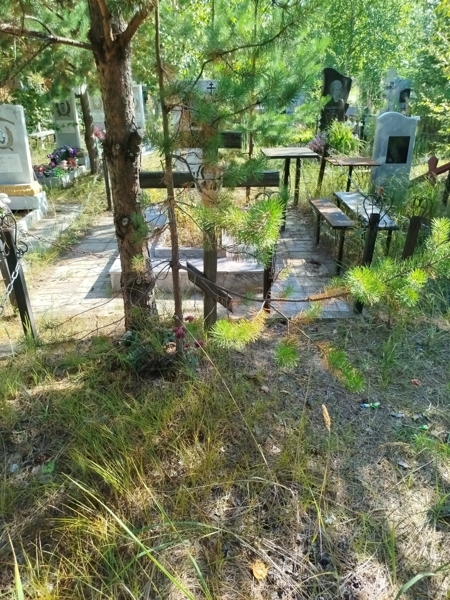 Пуртова Палагея Михайловна