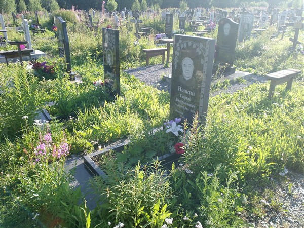 Нечкин Георгий Валерьянович