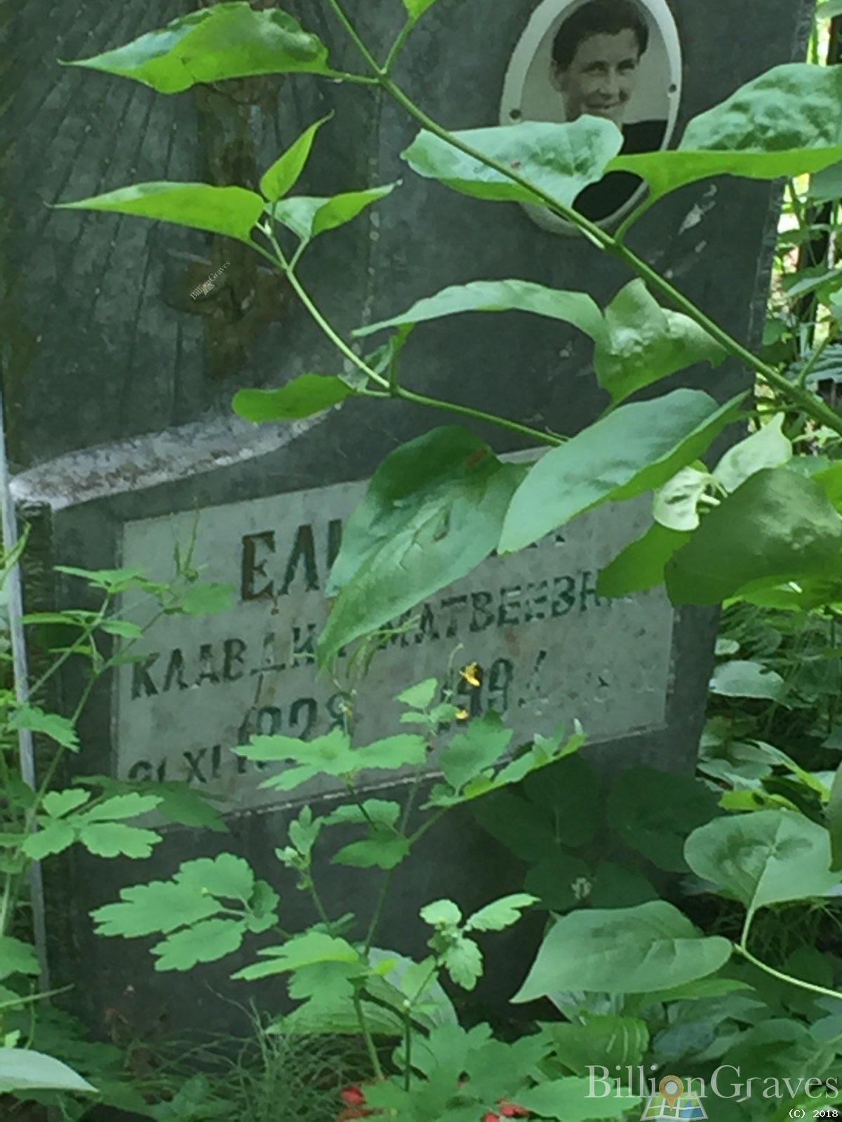 елисеева клавдия матвеевна