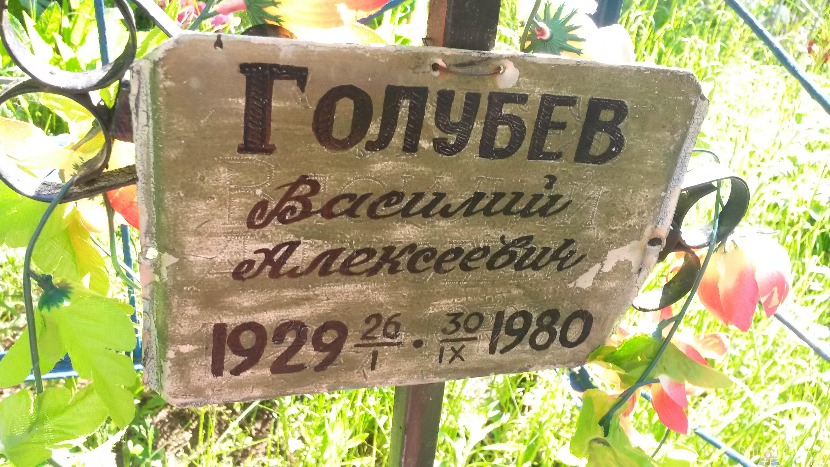 Голубев Василий Алексеевич