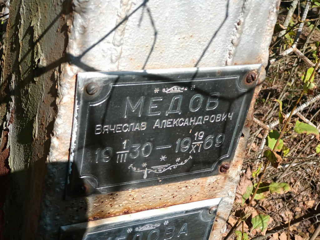 Медов Вячеслав Александрович