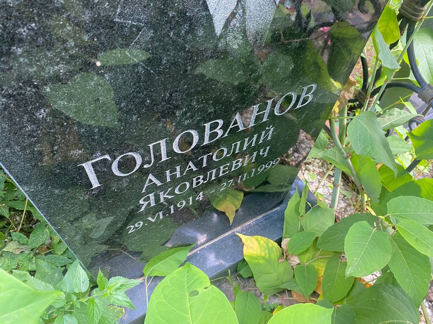 Голованов