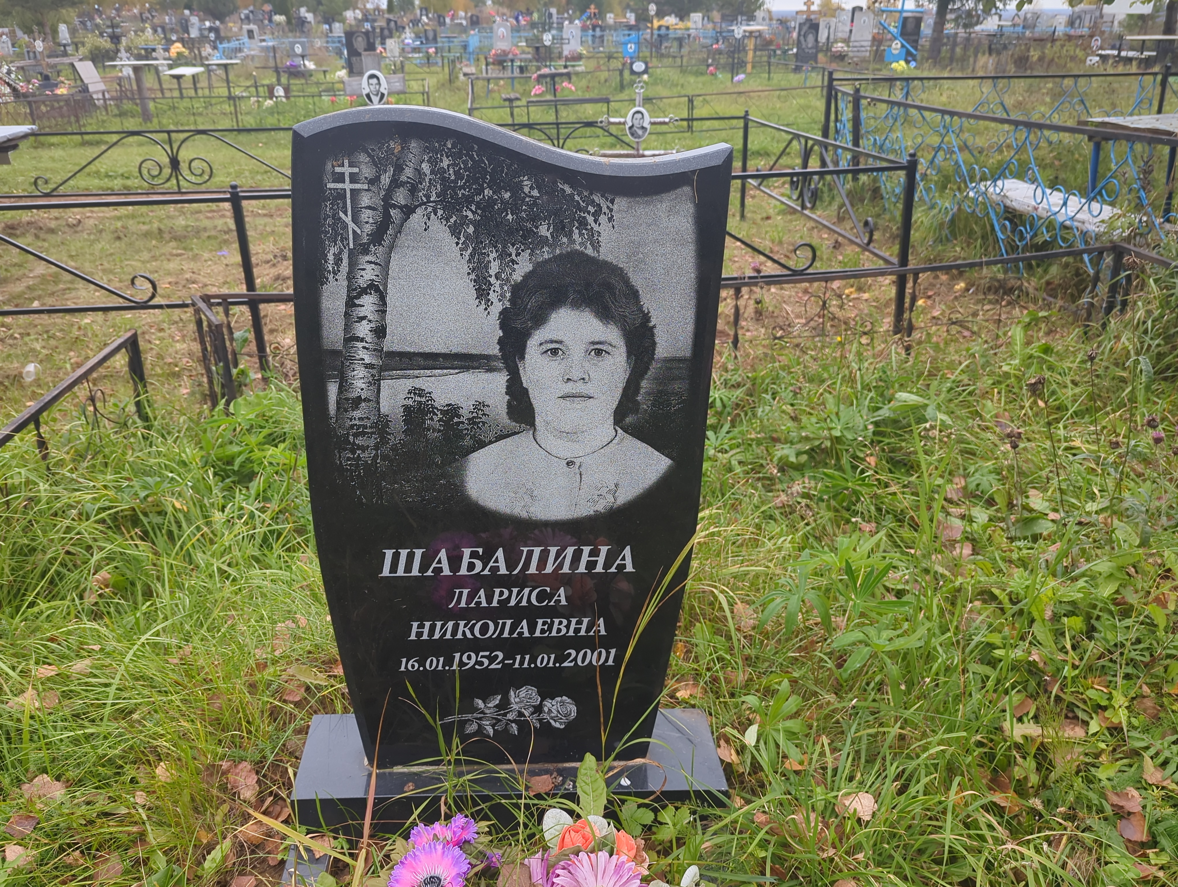 Шабалина Лариса Николаевна