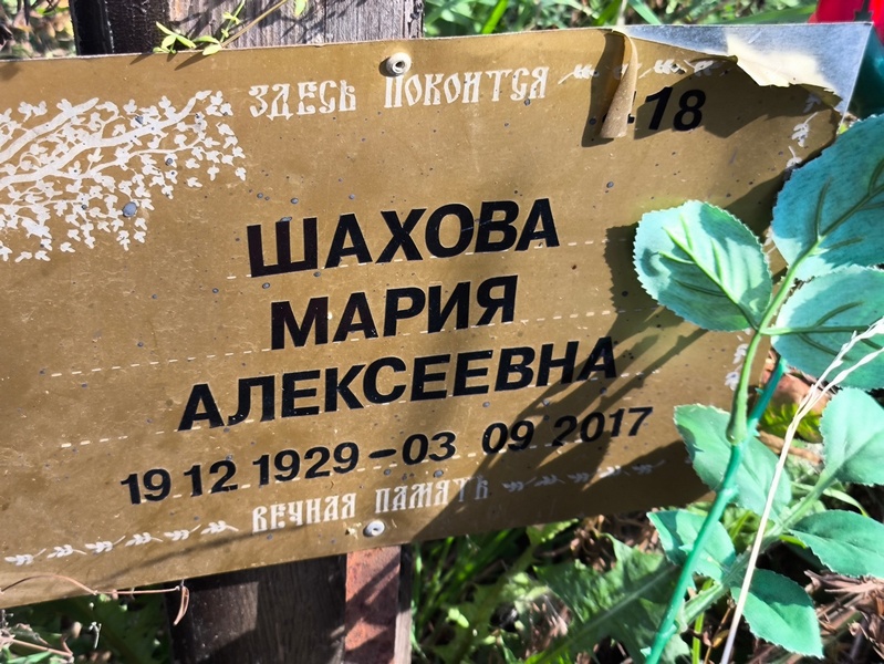 Шахова