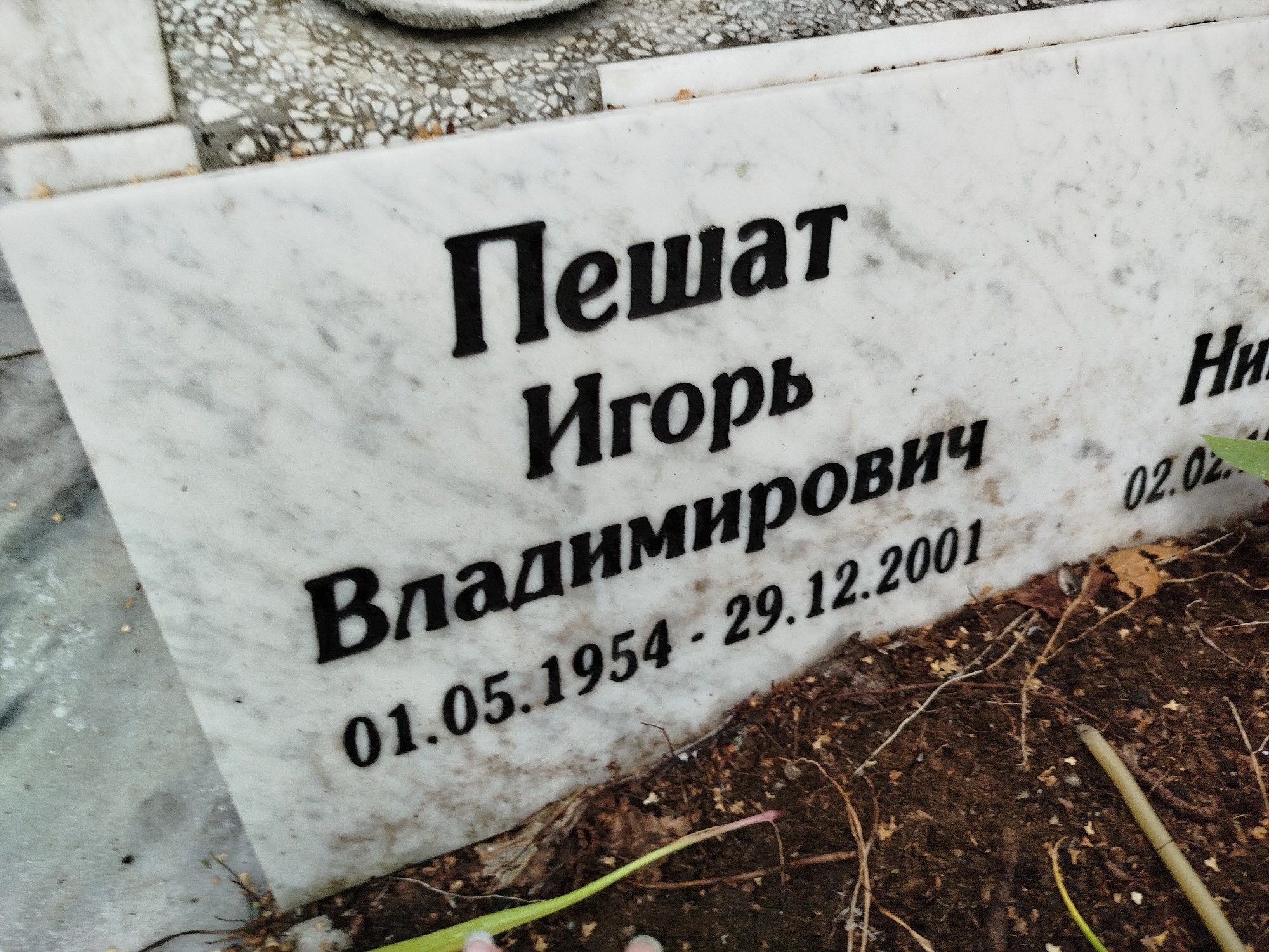 Пешат Игорь Владимирович
