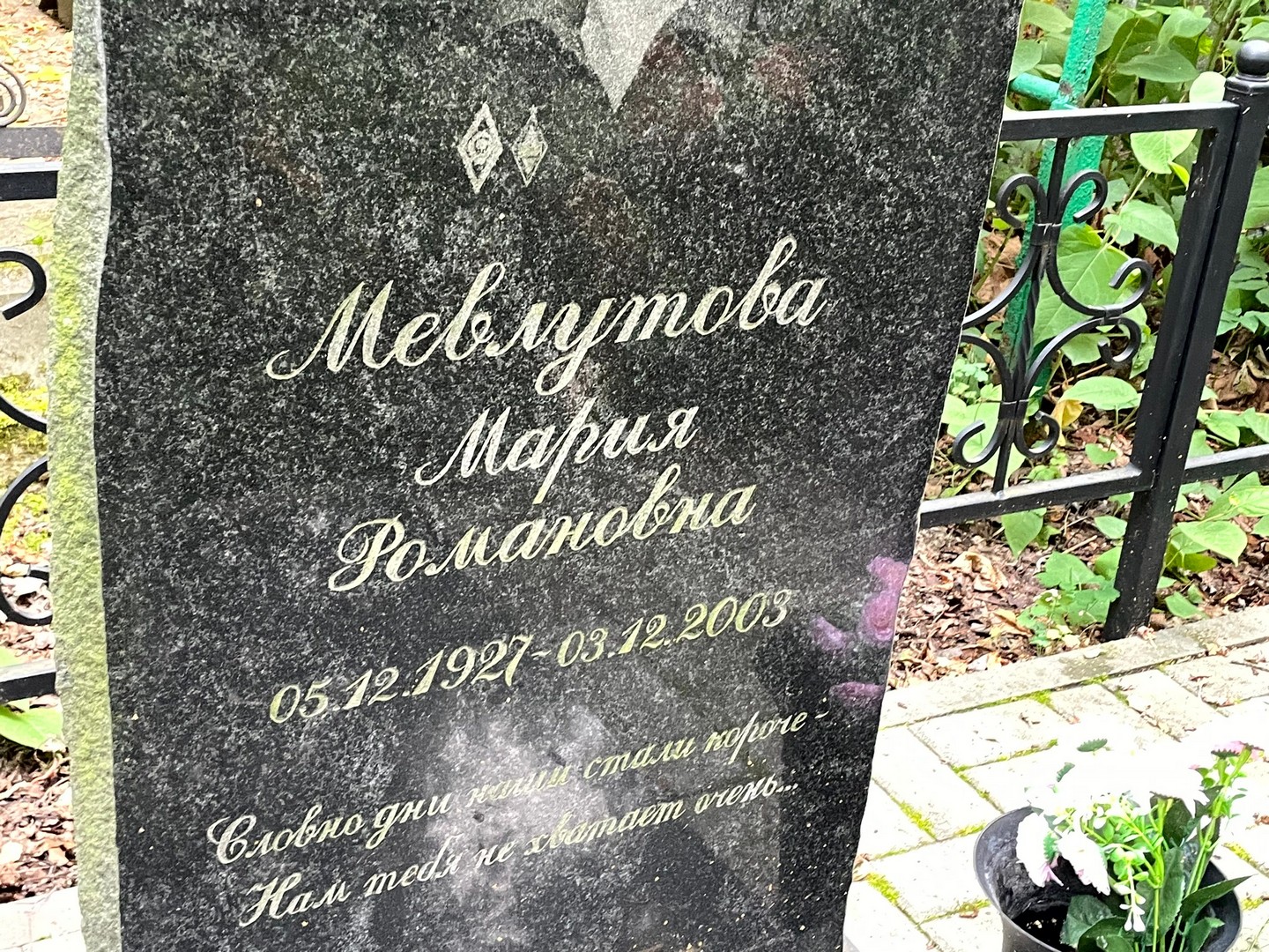 Мевлутова