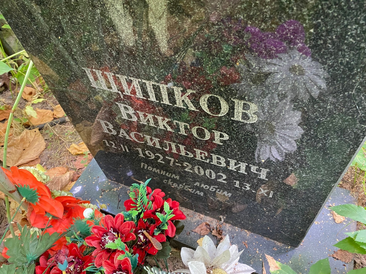 Щипков