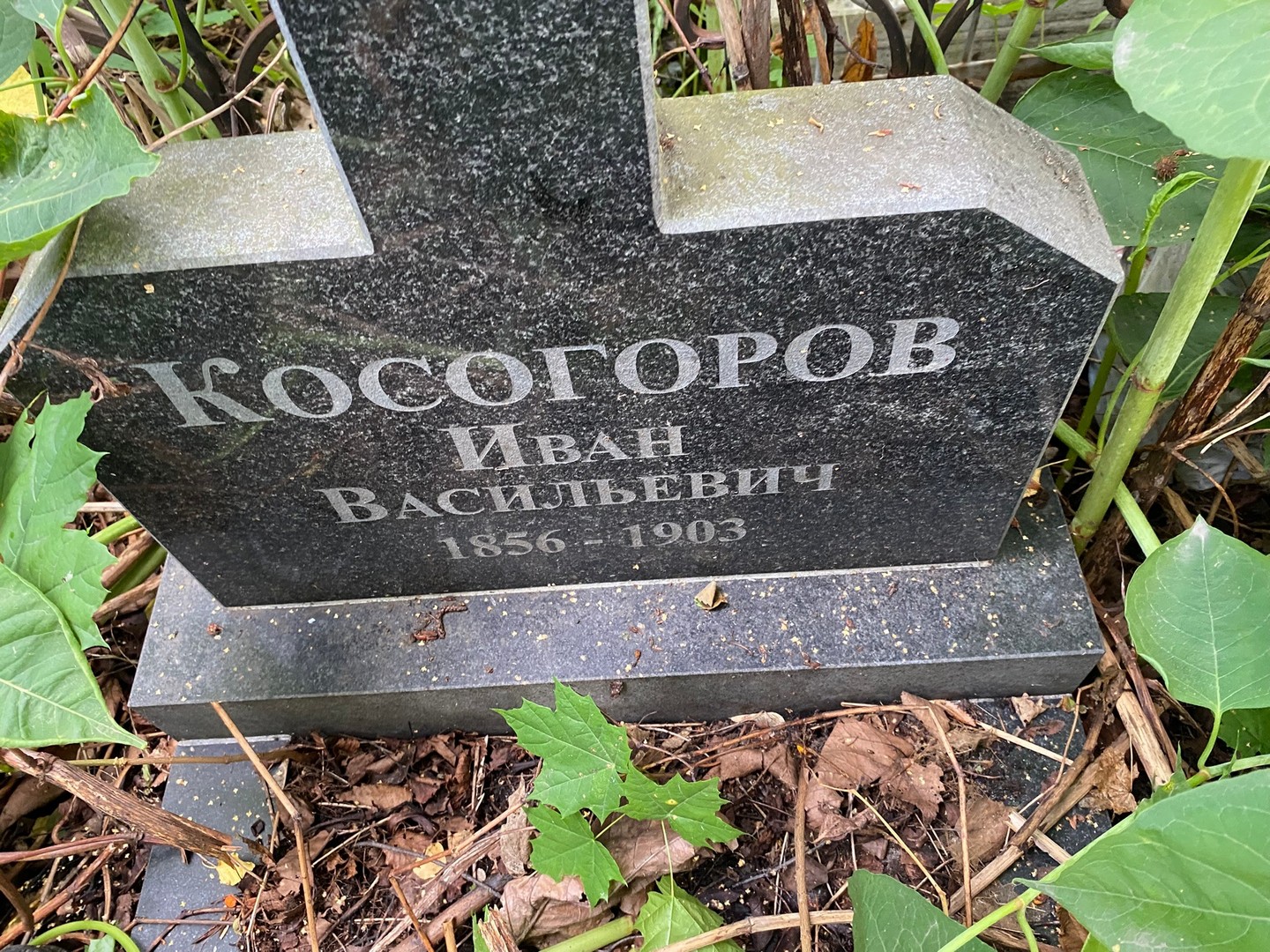 Косогоров