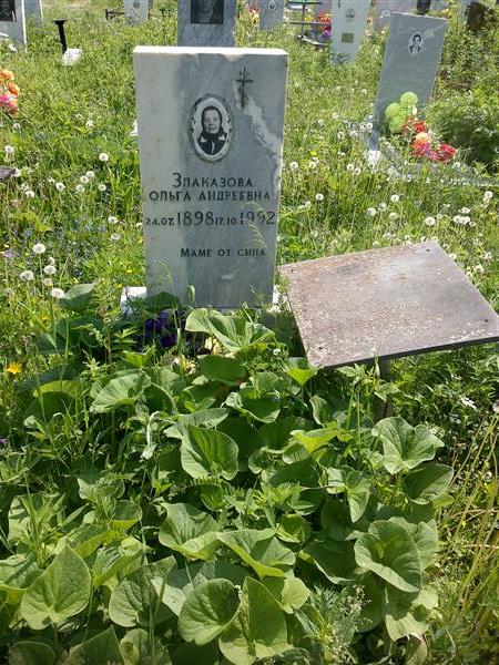 Злаказова Ольга Андреевна