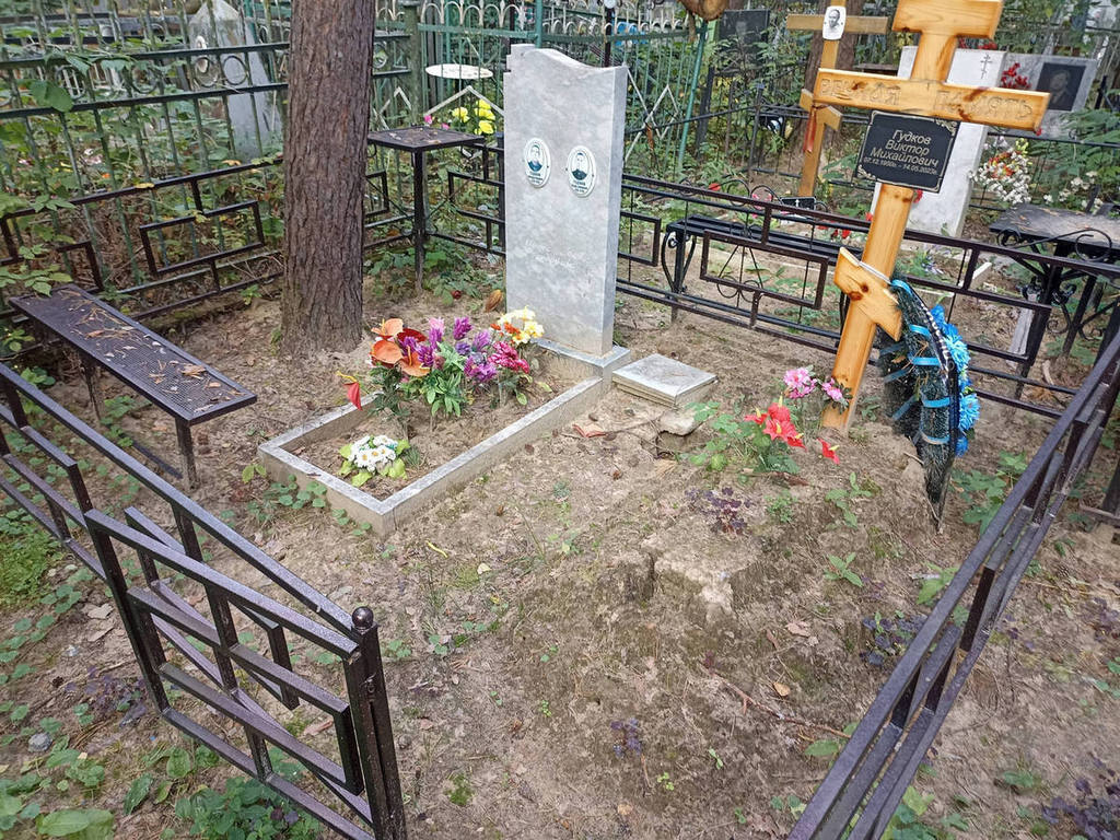 Гудков Виктор Михайлович