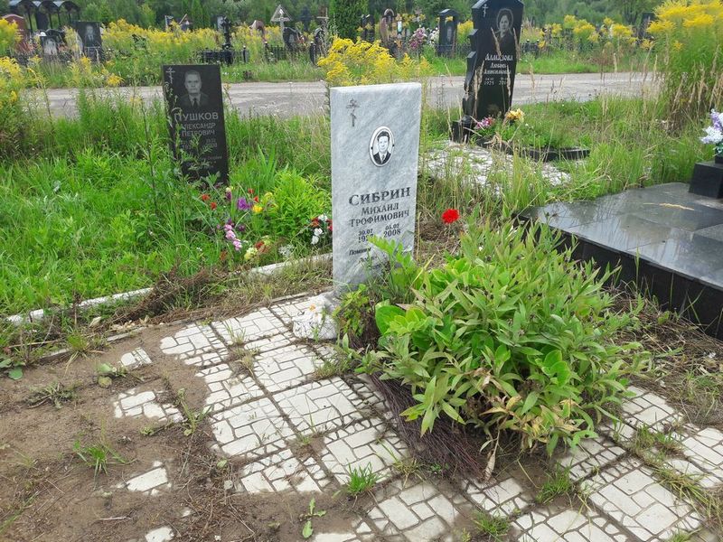 Сибрин Михаил Трофимович