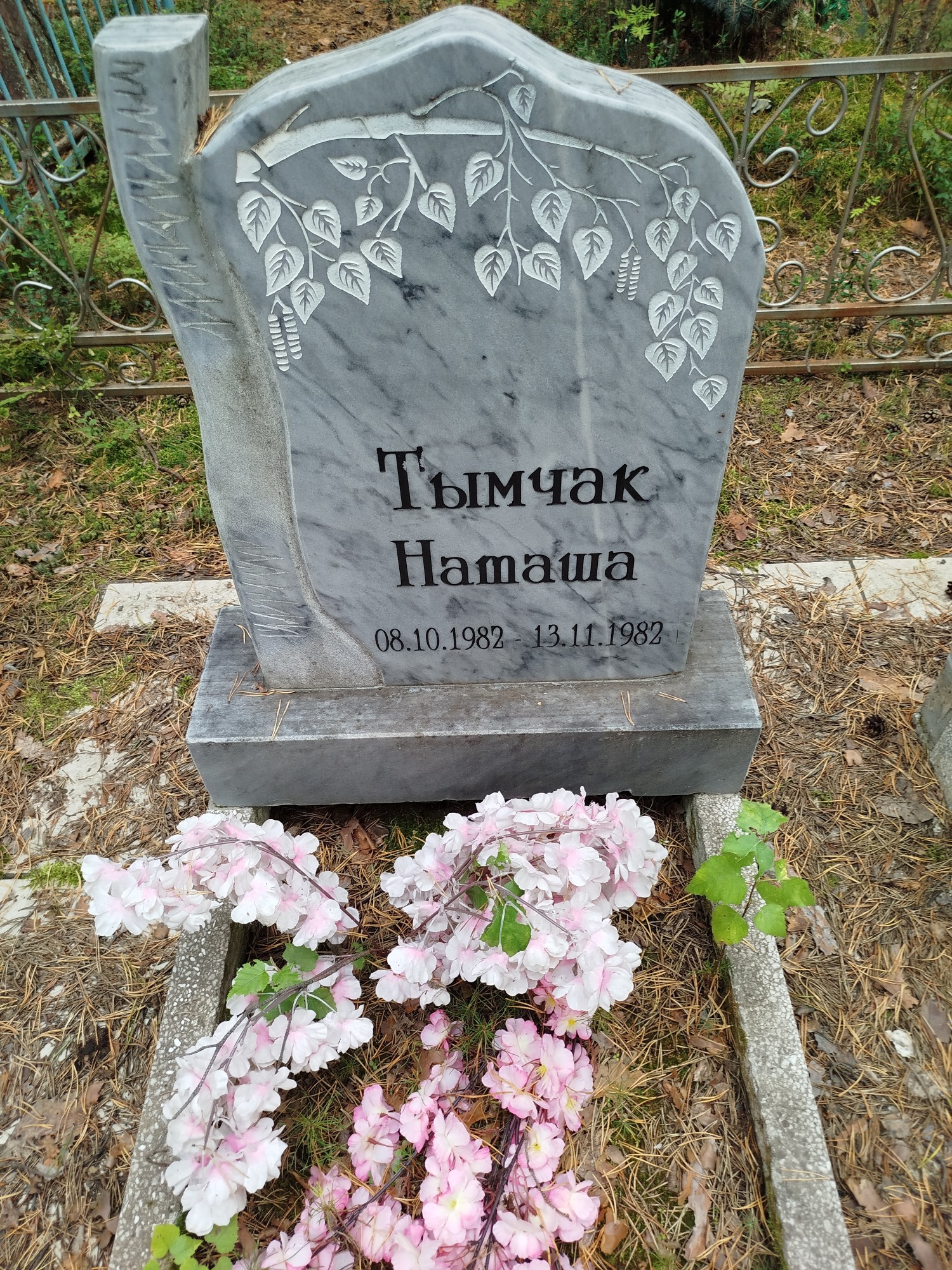 Тымчак Наташа