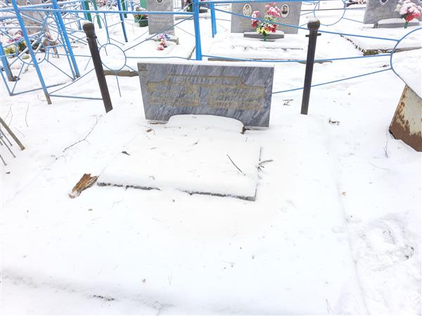 Нетунаев Владимир Иванович