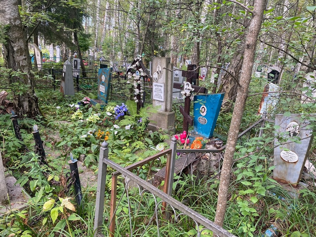 Щербакова Роза Михайловна