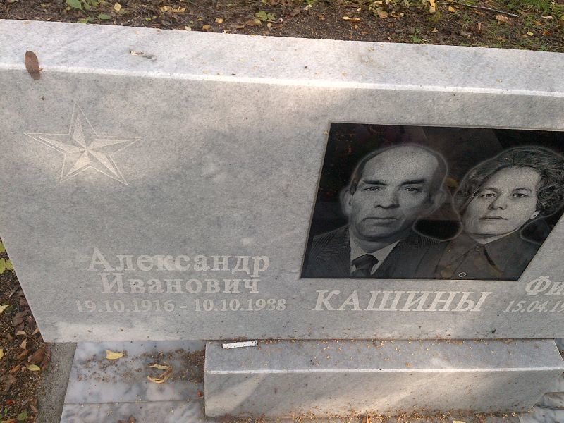 Кашин