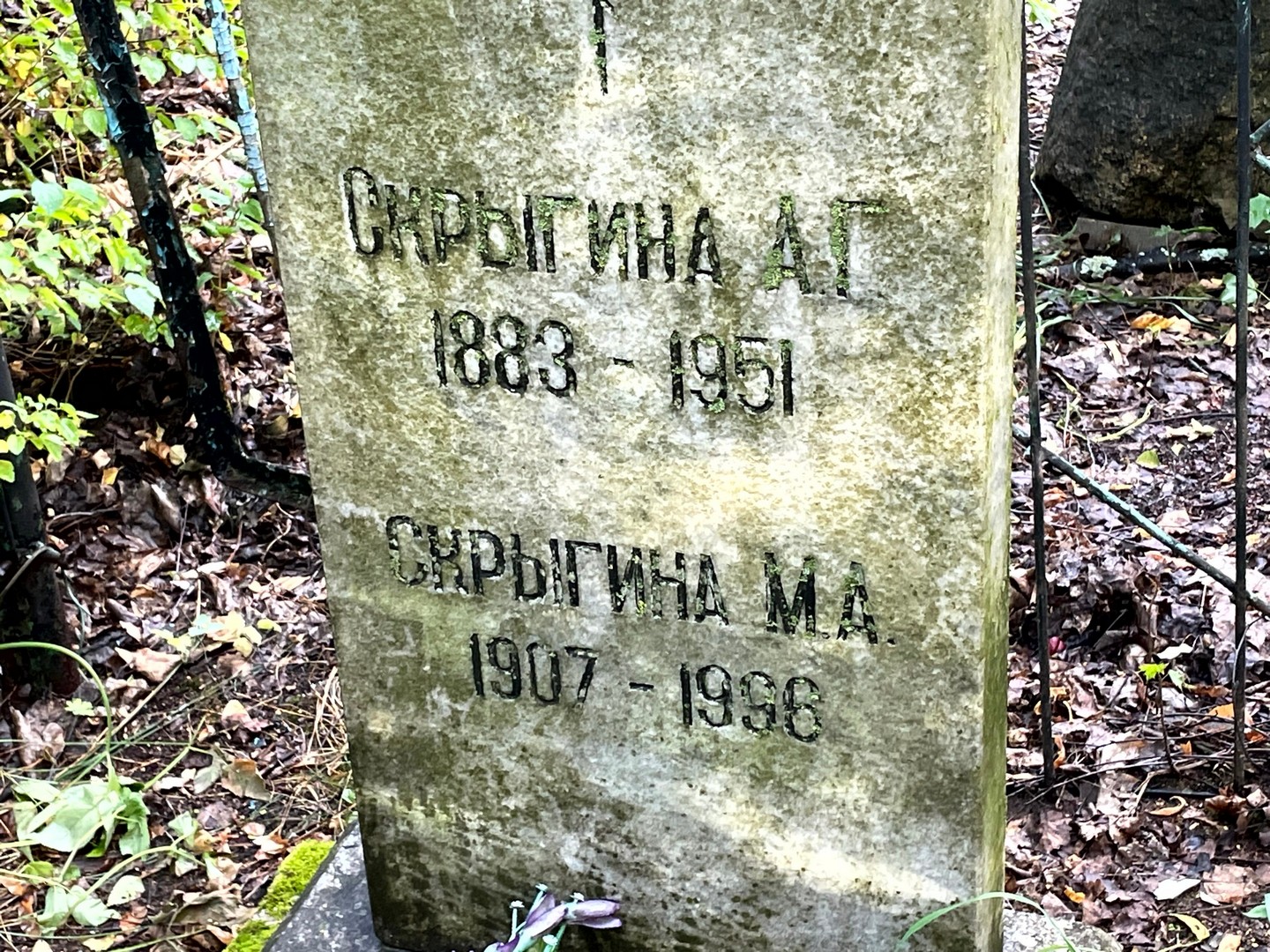А Скрыгина Г