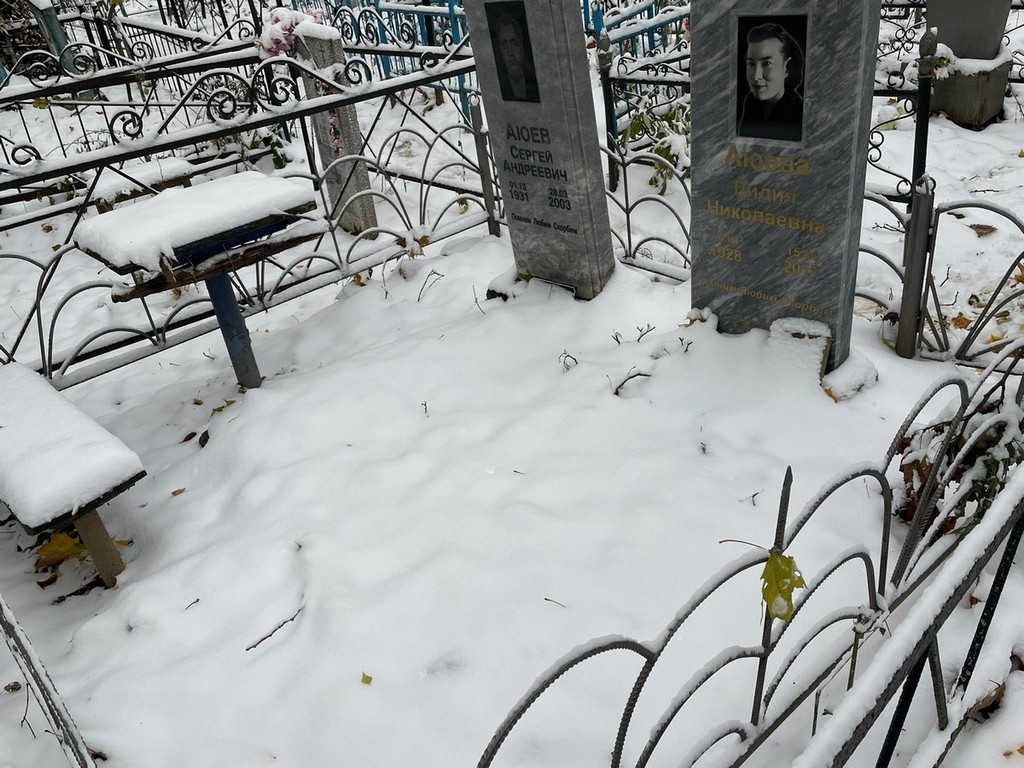 Аюева Лидия Николаевна
