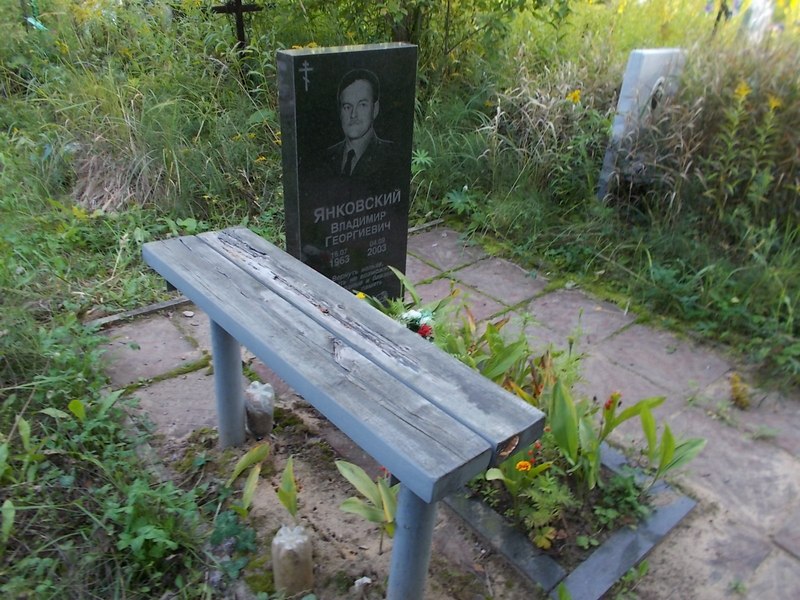 Янковский Владимир Георгиевич
