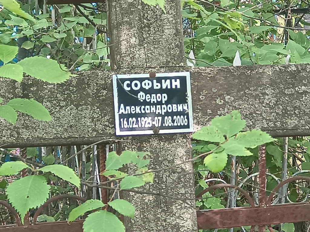 Софьин Федор Александрович