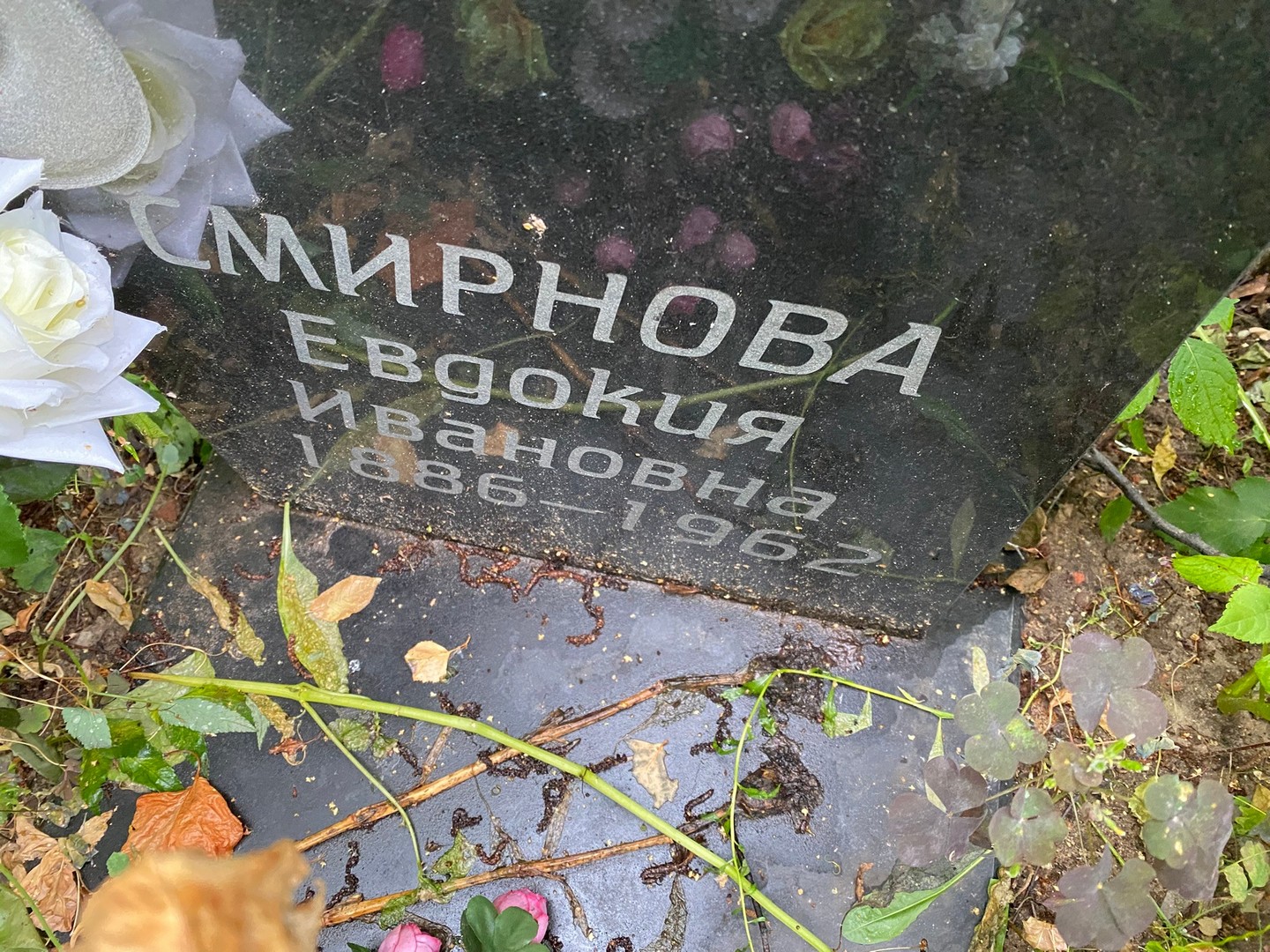 Смирнова