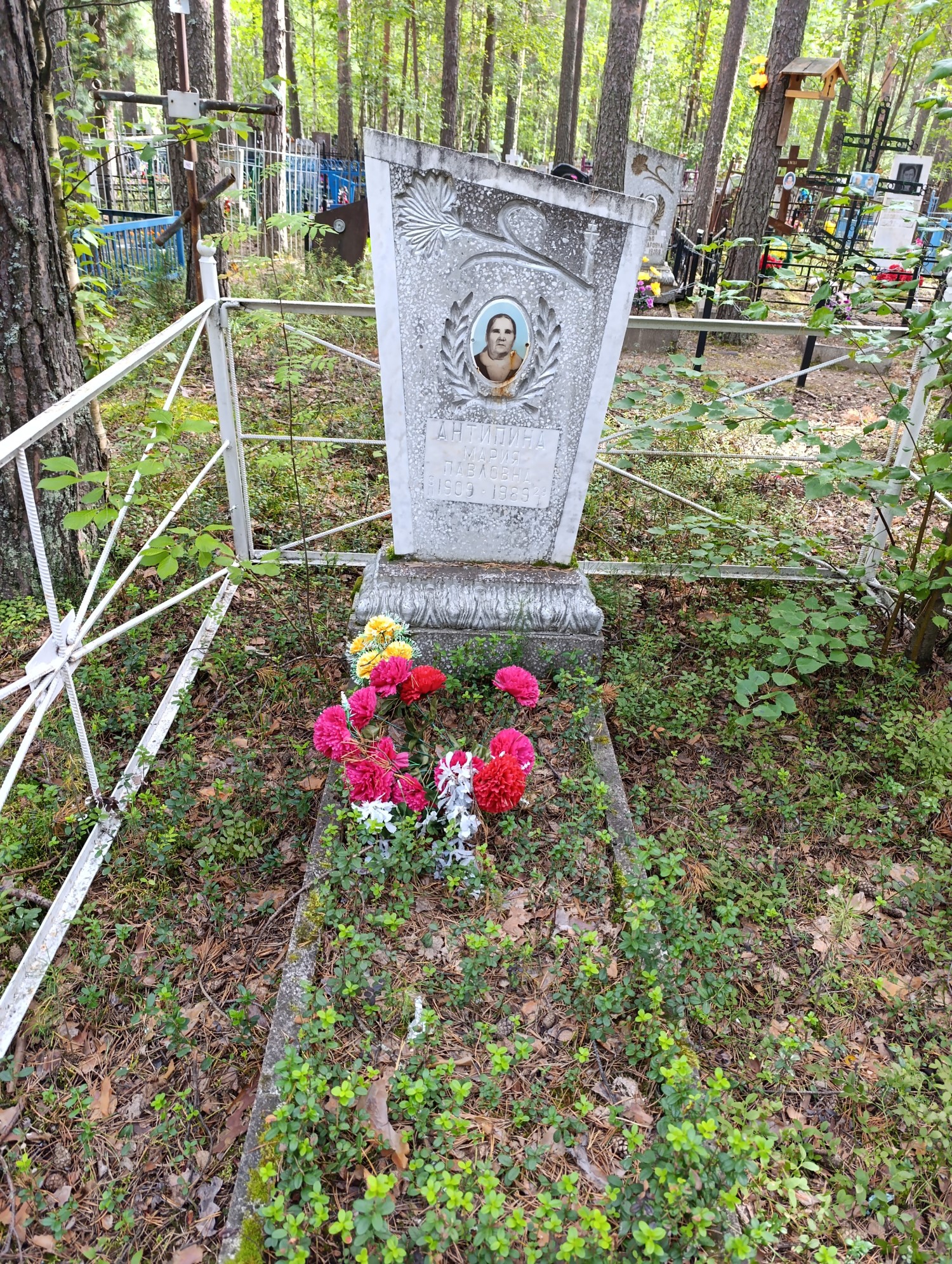 Антипина Мария Павловна