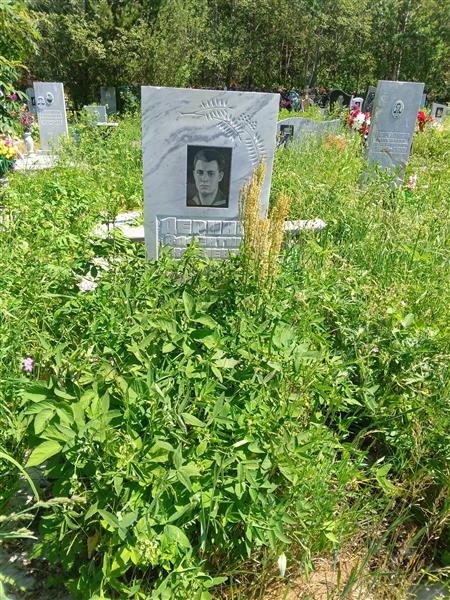 Деринг Валентин Яковлевич