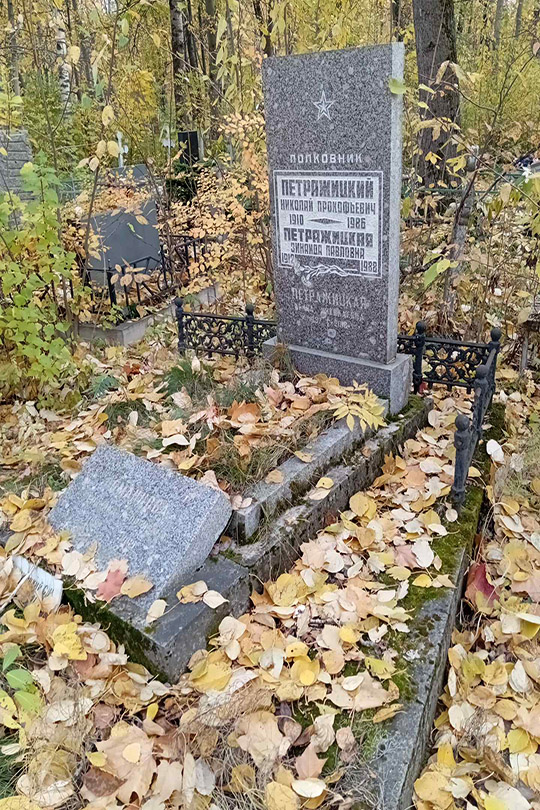 Романова Вероника Георгиевна