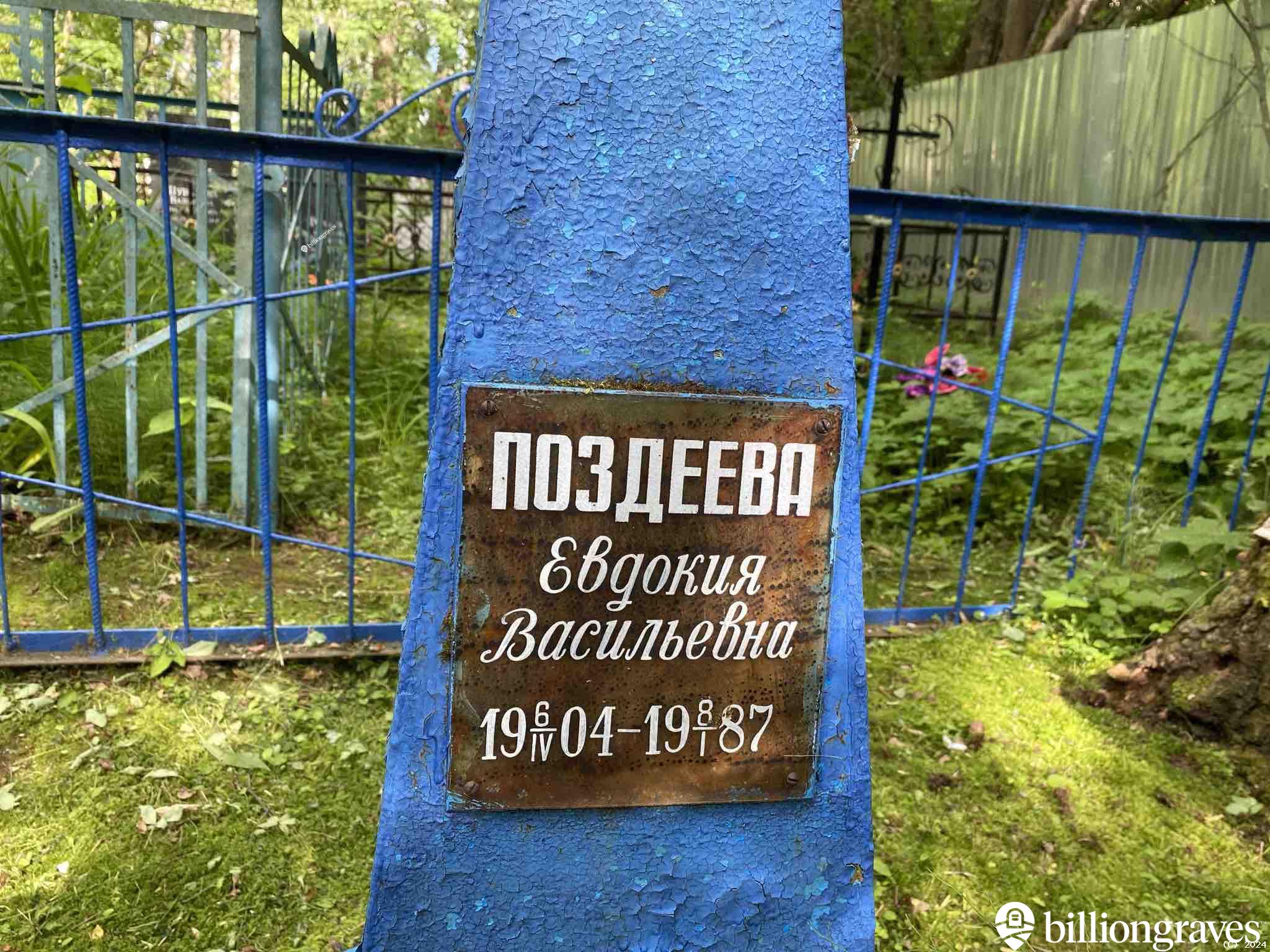 Поздеева Евдокия Васильевна
