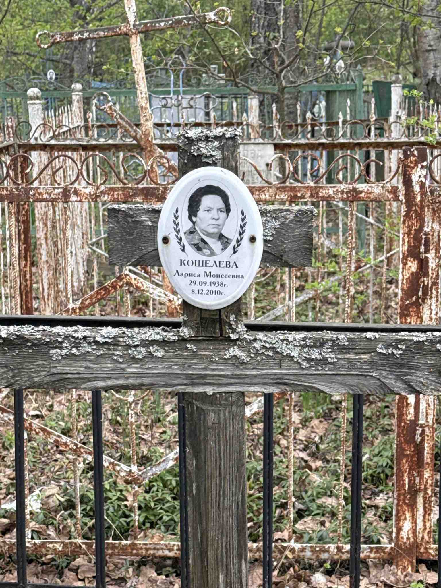 Кошелева Лариса Моисеевна