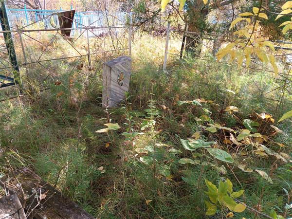 Фадеев Владимир Никитович