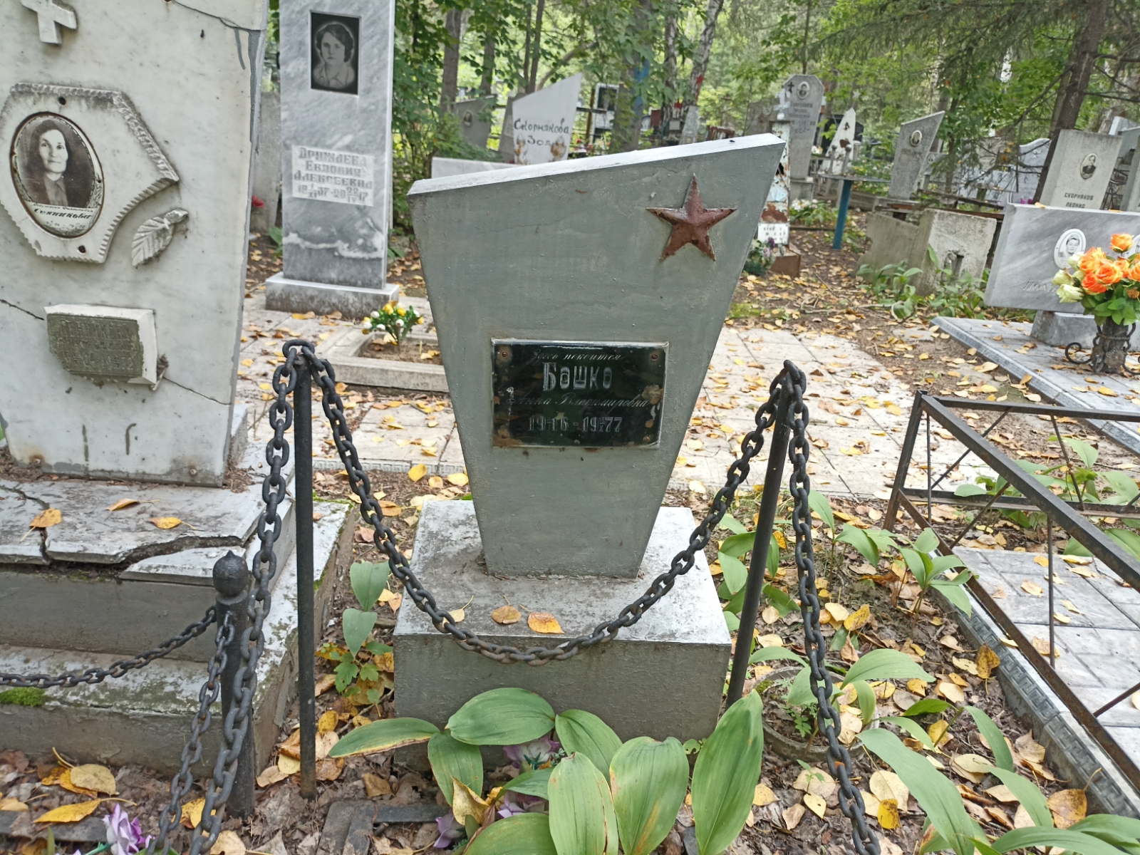Башко Анна Владимировна