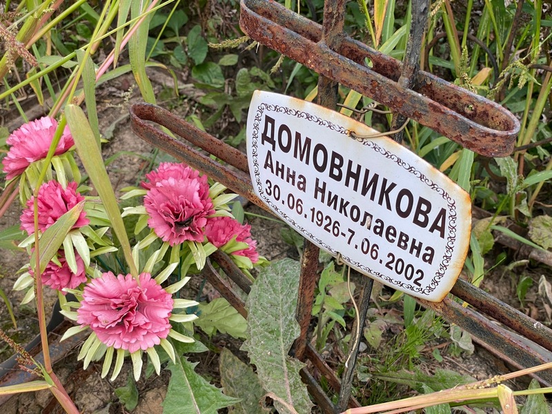 Домовникова