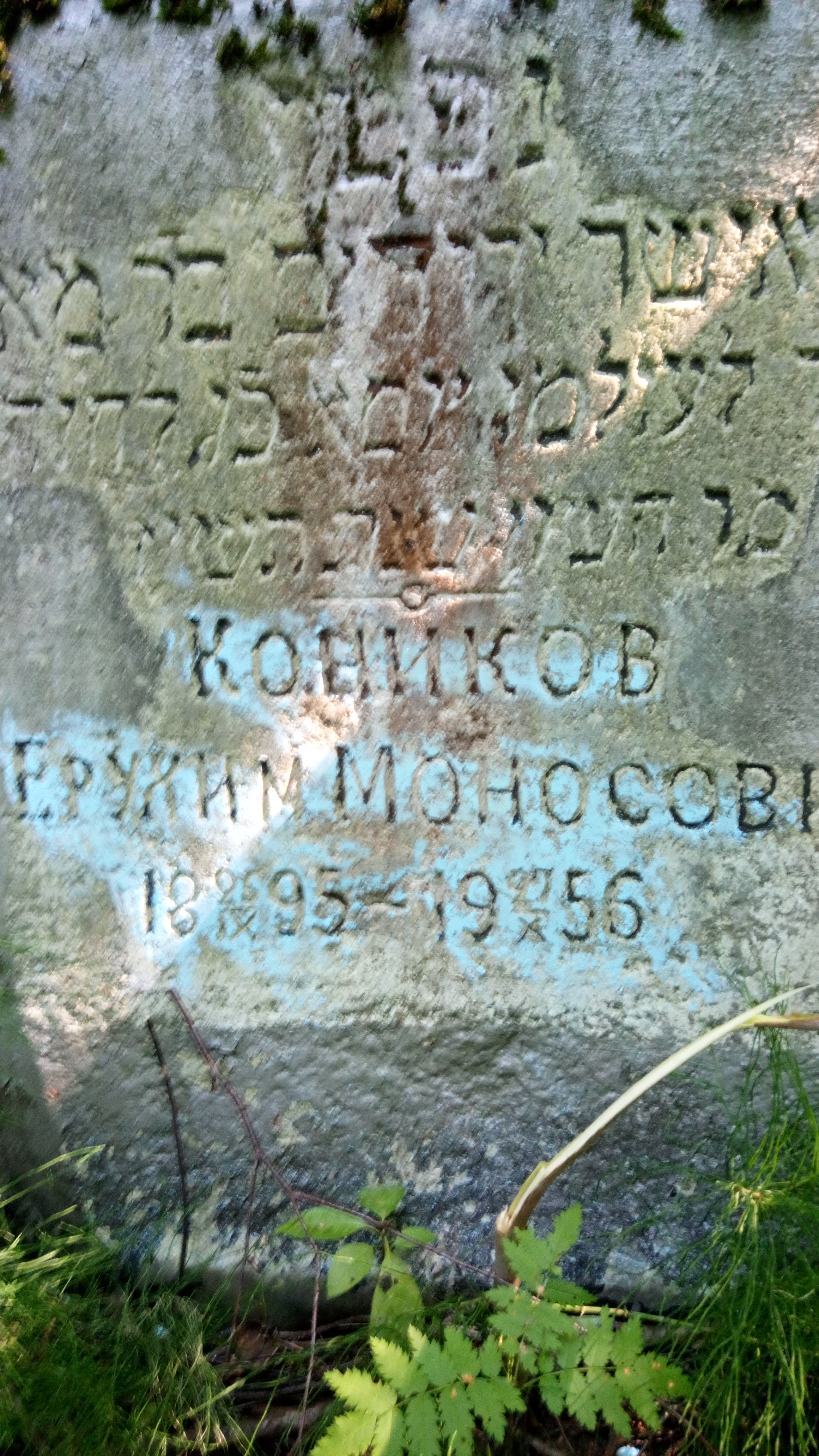 Коников Ерухим Моносович